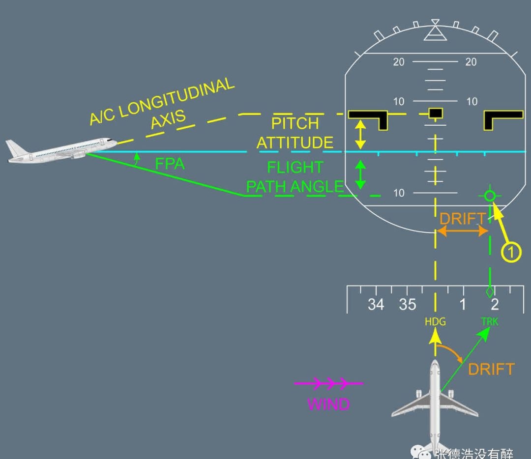 Flight Path Vector / Bird