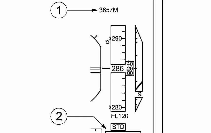 Metric Altitude Indication