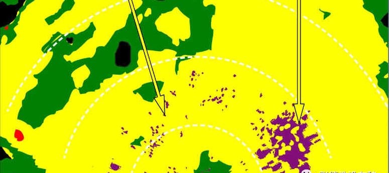 Severe and Moderate Turbulence Display